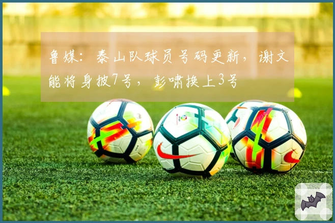 鲁媒：泰山队球员号码更新，谢文能将身披7号，彭啸换上3号